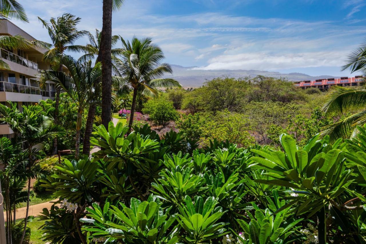 Maui Banyan H311 1Bd 2Ba 3 Min Walk To The Beach In The Heart Of South Kihei! 维雷亚 外观 照片