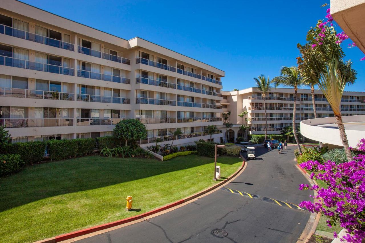 Maui Banyan H311 1Bd 2Ba 3 Min Walk To The Beach In The Heart Of South Kihei! 维雷亚 外观 照片