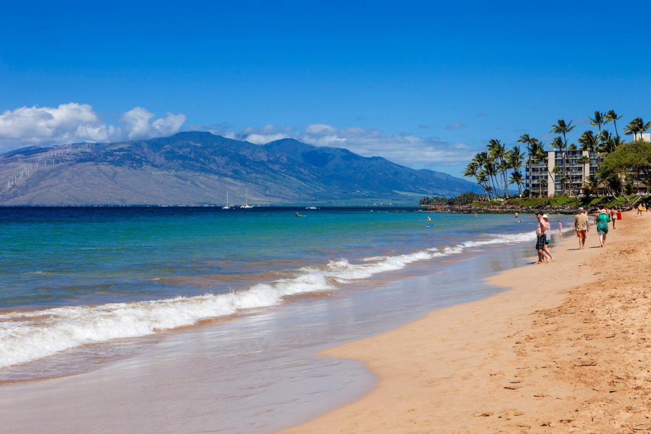 Maui Banyan H311 1Bd 2Ba 3 Min Walk To The Beach In The Heart Of South Kihei! 维雷亚 外观 照片