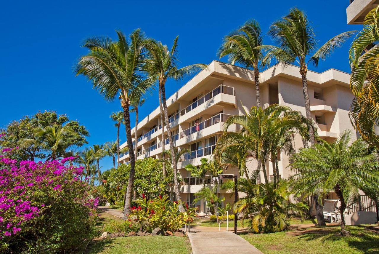 Maui Banyan H311 1Bd 2Ba 3 Min Walk To The Beach In The Heart Of South Kihei! 维雷亚 外观 照片